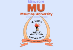 LIST OF COURSES OFFERED BY MZUMBE UNIVERSITY (MU), DOCTORATE PHD COURSES OFFERED BY MZUMBE UNIVERSITY (MU), Masters Degree Courses Offered By Mzumbe University (MU), Bachelor Degree Courses Offered By Mzumbe University (MU), Diploma Courses Offered By Mzumbe University (MU), Certificate Courses Offered By Mzumbe University (MU)