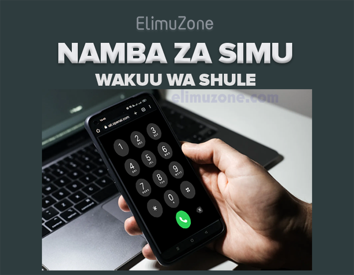 NAMBA ZA SIMU WAKUU WA SHULE TANZANIA PDF (HEADS OF SCHOOLS PHONE NUMBERS), Temeke Region Heads of Schools Phone Numbers, Tanga Region Heads of Schools Phone Numbers, Tabora Region Heads of Schools Phone Numbers, Songwe Region Heads of Schools Phone Numbers, Singida Region Heads of Schools Phone Numbers, Simiyu Region Heads of Schools Phone Numbers, Shinyanga Region Heads of Schools Phone Numbers, Ruvuma Region Heads of Schools Phone Numbers, Pwani Region Heads of Schools Phone Numbers, Njombe Region Heads of Schools Phone Numbers, Mwanza Region Heads of Schools Phone Numbers, Mtwara Region Heads of Schools Phone Numbers, Morogoro Region Heads of Schools Phone Numbers, Mbeya Region Heads of Schools Phone Numbers, Mara Region Heads of Schools Phone Numbers, Manyara Region Heads of Schools Phone Numbers, Lindi Region Heads of Schools Phone Numbers, Kinondoni DSM Heads of Schools Phone Numbers, Kilimanjaro Region Heads of Schools Phone Numbers, Kigoma Region Heads of Schools Phone Numbers, Katavi Region Heads of Schools Phone Numbers, Kagera Region Heads of Schools Phone Numbers, Iringa Region Heads of Schools Phone Numbers, Ilala DSM Heads of Schools Phone Numbers, Geita Region Heads of Schools Phone Numbers, Dodoma Region Heads of Schools Phone Numbers, ARUSHA REGION HEADS OF SCHOOLS PHONE NUMBERS